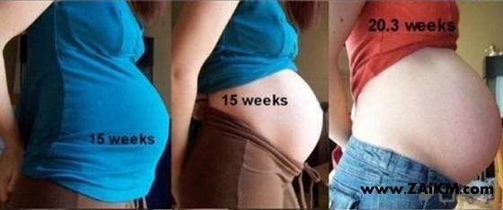 图说女性怀孕周期[图1]