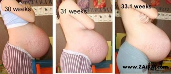 图说女性怀孕周期[图2]