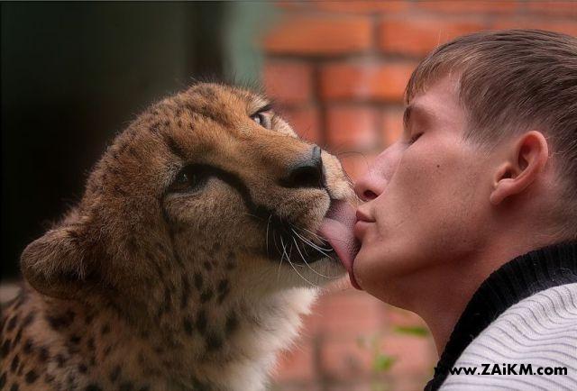 人与野兽的亲密之吻[图1]
