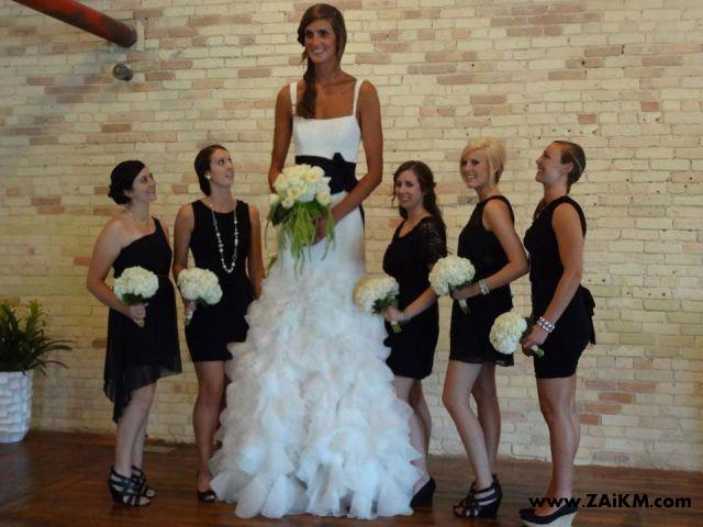 新娘真的是太高了[图1]