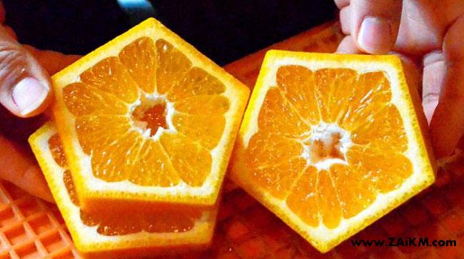 方形的橙子[图2]